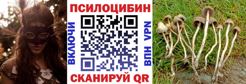 Псилоцибиновые грибы ЛСД  хочу наркоту  omg вход  Пенза 